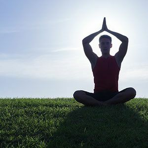 ときどき出現 メスのボスザル は どんなサルか 3ページ目 President Online プレジデントオンライン