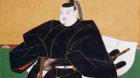 徳川家康なり 71xnEUkNa+L._AC_UF350,