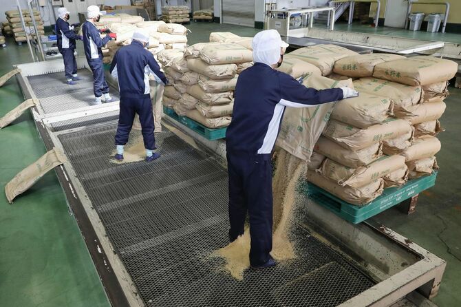 精米工場に搬入された備蓄米＝2025年3月、埼玉県内