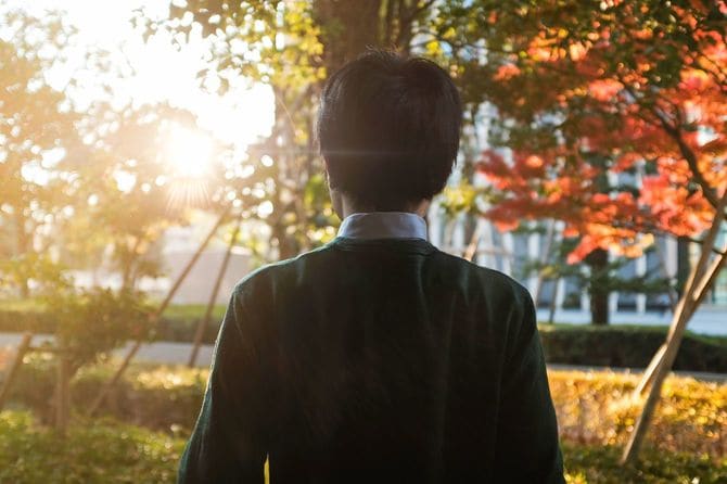 公園から沈む夕日に目をやる男性の後ろ姿