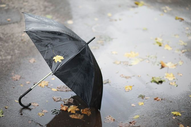 地面に開いて置かれた傘