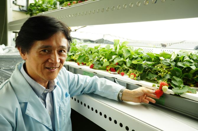 種から育てられた月面イチゴと後藤英司教授