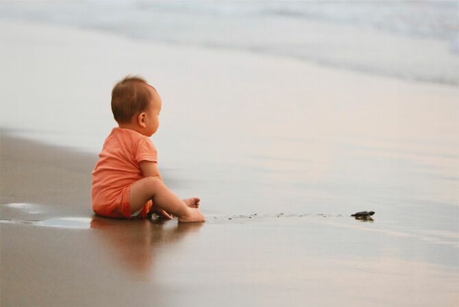 「いのちのたび」