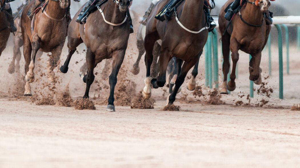 府中でも大井でも中山でもない…明治天皇が通った､都心一等地の｢馬券を売らない競馬場｣の正体