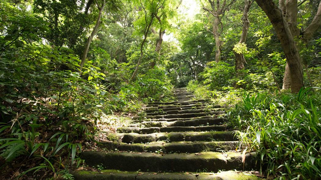 信者も後継者もいない寺なのに買い手がつく…元税務署長が明かす｢宗教法人を買う人たち｣の本当の狙い