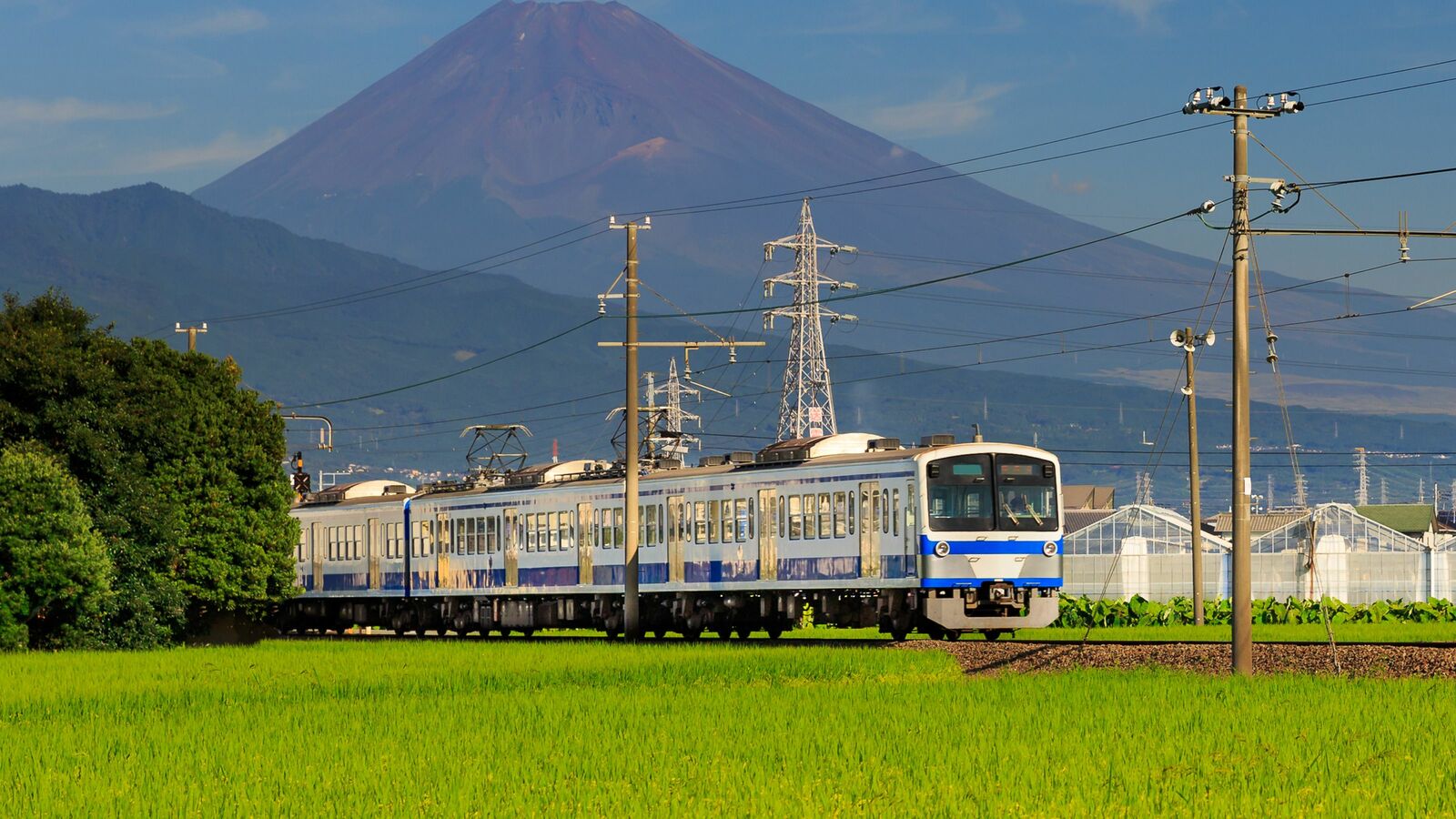 ｢青春18きっぷ｣改定で｢鉄道旅｣はすたれゆくのか　鉄道ファンの悲鳴に専門家は｢ビジネスモデルの限界｣を指摘 とりあえずきっぷを買っておいて､「休みがとれたら出かける」ができない