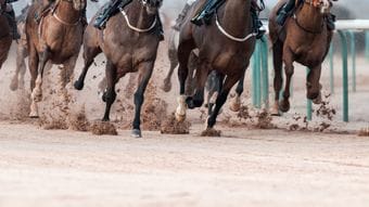 府中でも大井でも中山でもない…明治天皇が通った､都心一等地の｢馬券を売らない競馬場｣の正体