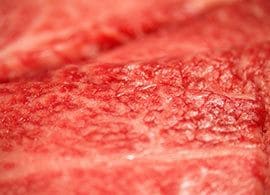 食品衛生法　－どんな肉かわからない肉を売るのは合法か
