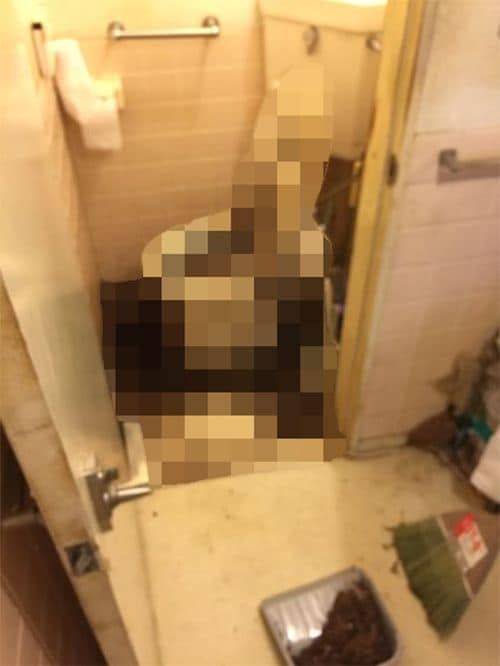 トイレで亡くなり数カ月が経過した現場。いかなる思いで座り続けたのだろうか…。