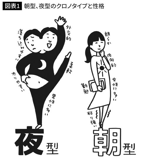 朝型、夜型のクロノタイプと性格