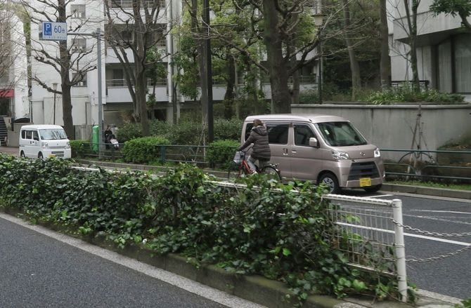 【画像5】自転車に乗った女性が大きな車道を逆走していた