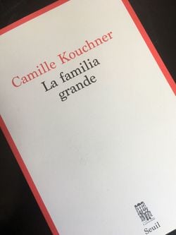 カミーユ・クシュネール氏が義父による近親姦を告発した著書　写真＝プラド夏樹