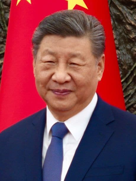 中国共産党総書記の習近平氏
