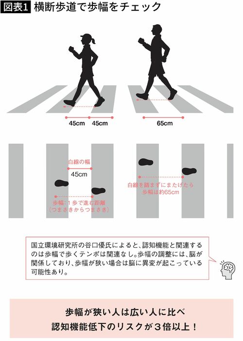 【図表】横断歩道で歩幅をチェック