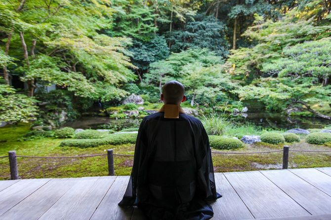 新鮮な緑の中で禅を行う仏教僧