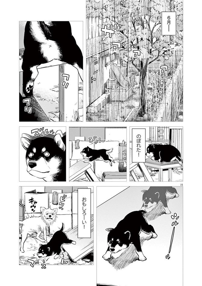 『しっぽの声』c夏緑・ちくやまきよし／小学館