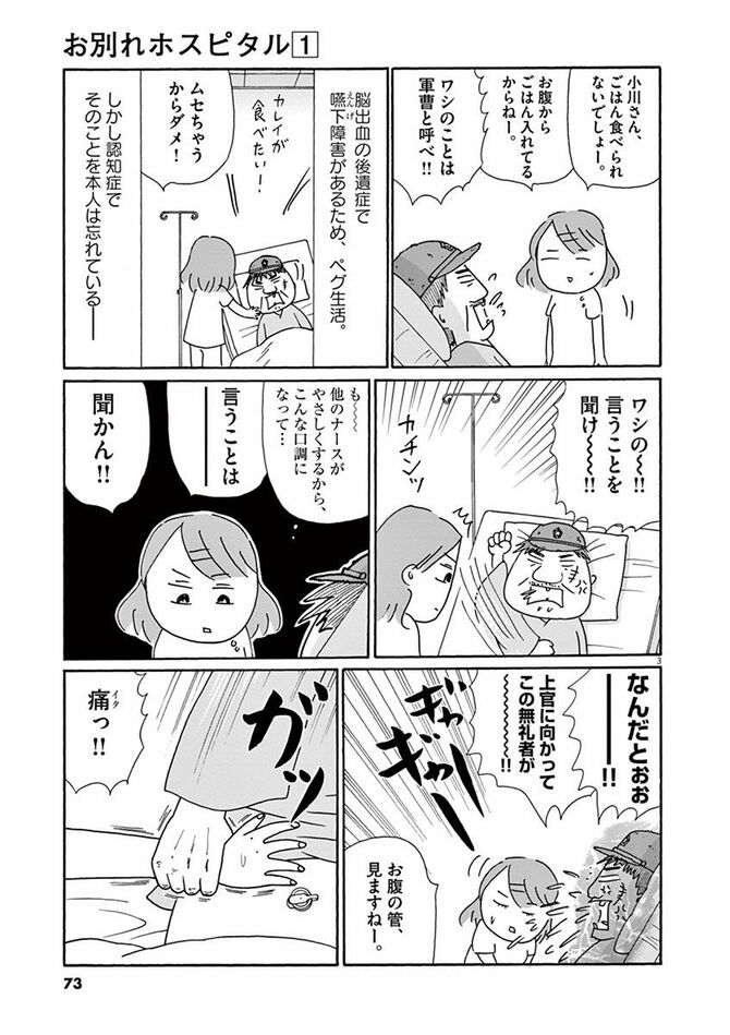 『お別れホスピタル』©沖田×華／小学館
