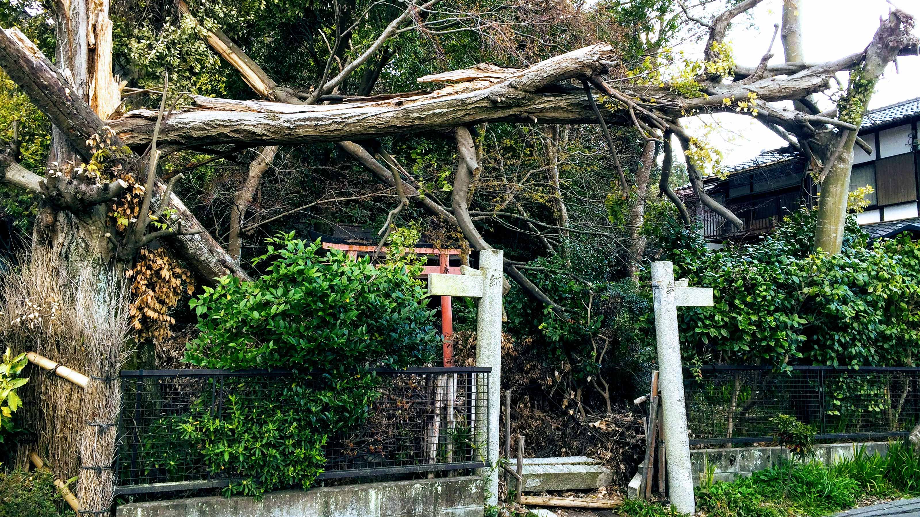 4割が年収300万円以下 お寺経営の厳しい現実 40年までに寺社の3割は消滅する President Online プレジデントオンライン