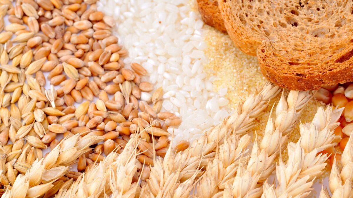 パンでも白米でもない…脳疲労専門家が毎朝食べる「卵と納豆とオートミールの全部入れ丼」