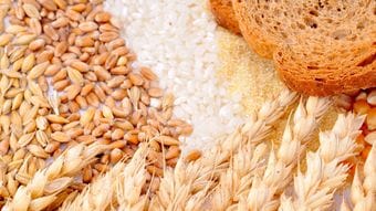 パンでも白米でもない…筑波大･脳疲労の第一人者が毎朝食べて効果を実感している"定番の朝食メニュー"