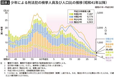 昭60 追想のひと 三淵嘉子 391P 家裁 少年審判 - ノンフィクション、教養