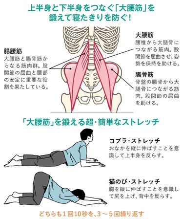 筋トレで力を振り絞るよりずっと効果的…脳神経が活発化し