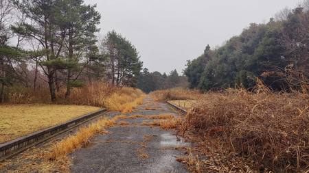 41坪30万円｣千葉県内の激安分譲地に購入希望を出してみたら…登記簿にあった｢怪しい社名｣の正体 写真を見る限りは｢普通の土地｣なのだが… |  PRESIDENT Online（プレジデントオンライン）