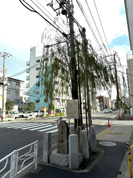 当時とは場所が異なるが、今もある「見返り柳」。