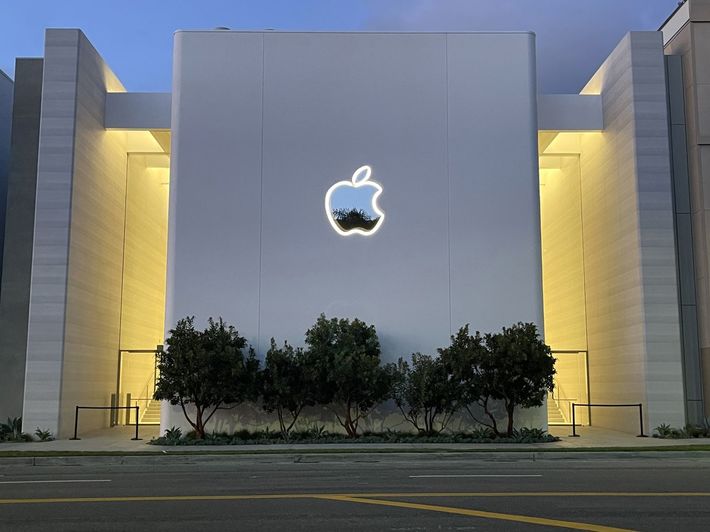 ※写真はイメージです