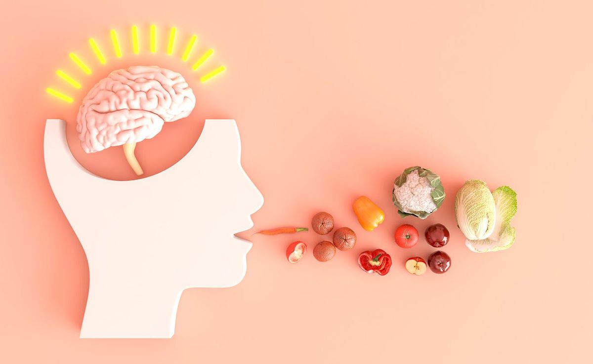 人の脳とさまざまな食材