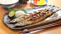 美味しいサンマはなぜ消えたのか…水産庁幹部が｢本当は獲らないべきなのだが…｣とこぼす歴史的不漁の背景