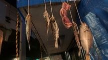 腐った肉･魚を出入口に吊るし､住民を退去に追い詰める…都心一等地の雑居ビルで見た｢地上げ屋｣の実態
