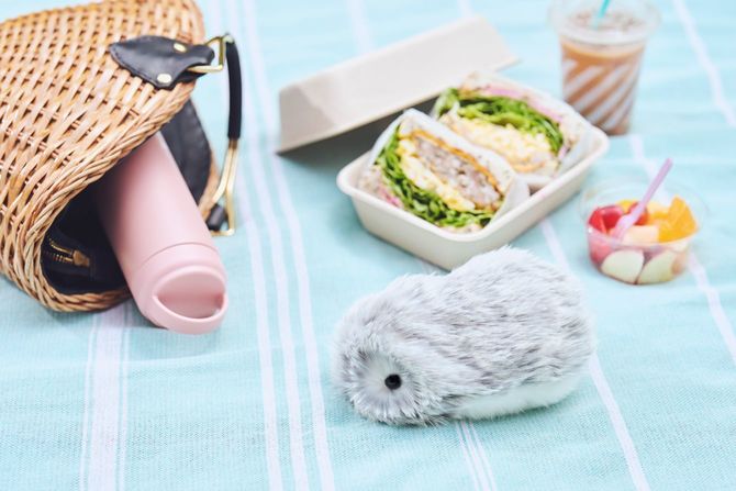 大きさは18センチ、胴回りは13×9センチと、本物の小動物のよう。