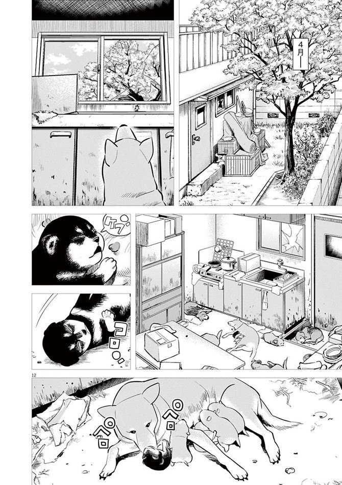 『しっぽの声』c夏緑・ちくやまきよし／小学館