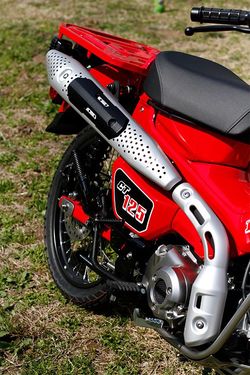 アップマフラーを装備しているので、浅い川なら渡ることもできる