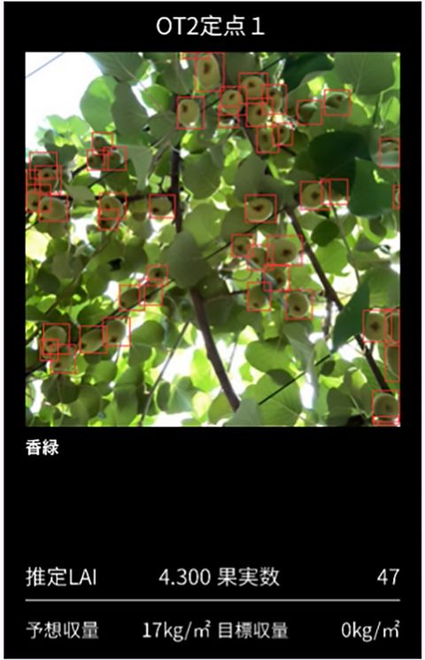 フルーツ棚次郎の画面