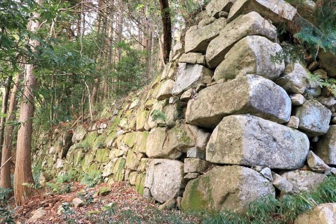 伝・平井丸側面の石垣
