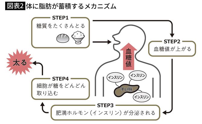【図表2】体に脂肪が蓄積するメカニズム