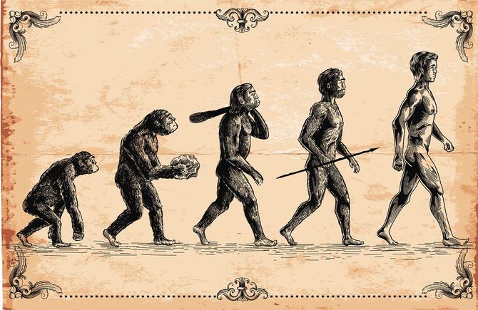 人類の進化のイラスト