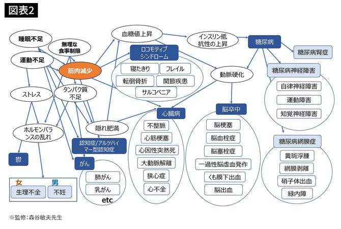 「筋肉減少」に関わる各種疾患の相関図