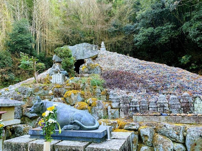 鼻輪の集積が現代アートのようだ