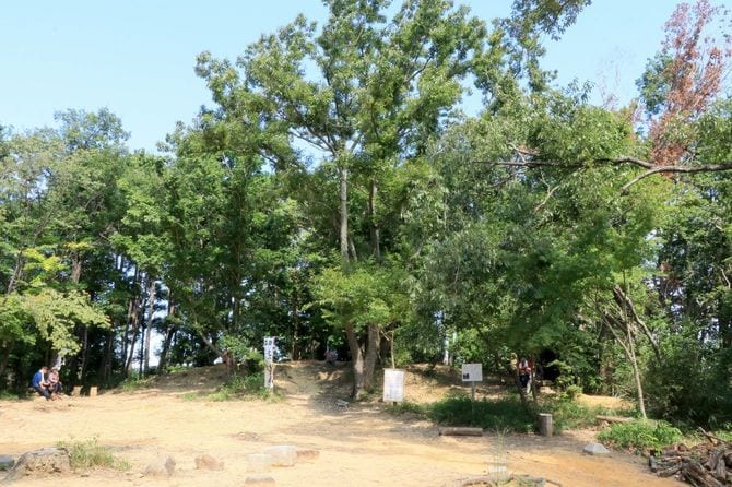 天王山に築かれた山崎城の本丸