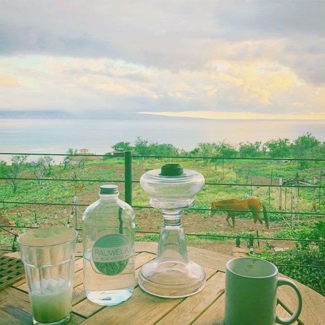 山崎さんの住まいから見える風景