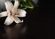 "ロス後"の悲しみは無理に消さなくていい