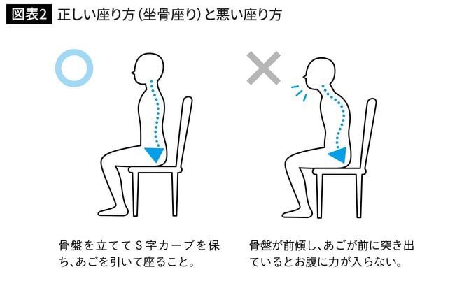 正しい座り方(坐骨座り)と悪い座り方