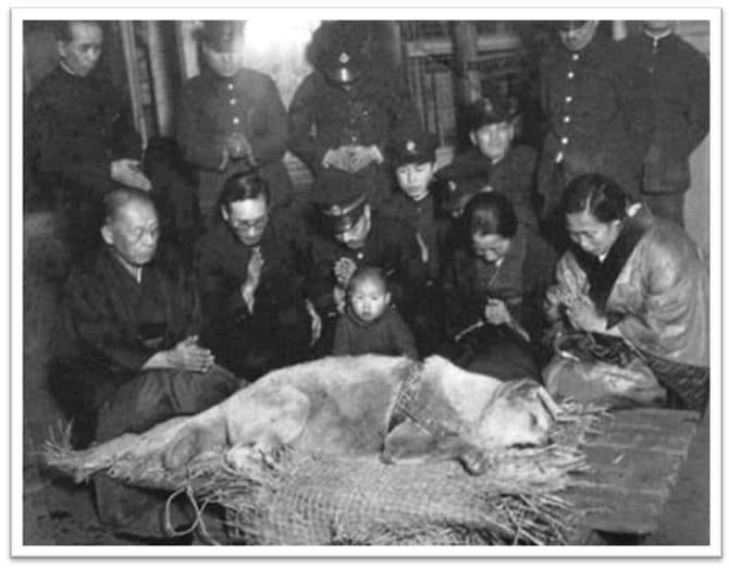 ハチの死後、枕経の様子