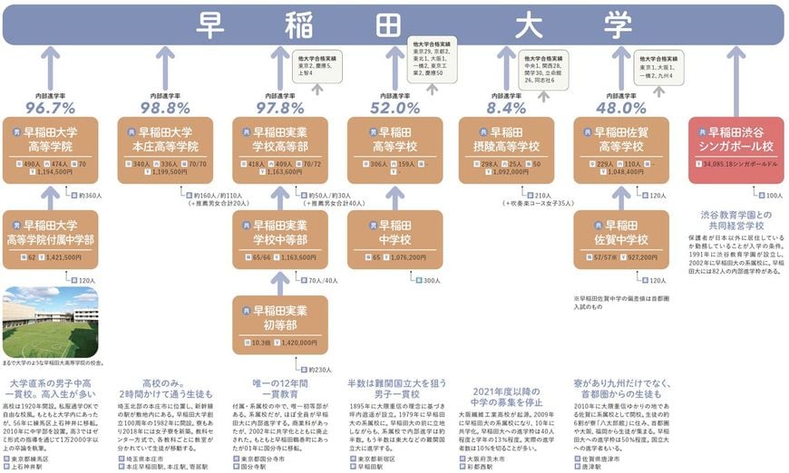 早稲田大学への内部進学率