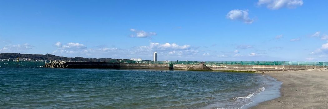 ｢全員が死亡｣｢叔父さんがサメに襲われて死んだ｣愛知県の“小さな島”で起きた､凄惨な“人食いザメ事件”の深いナゾ