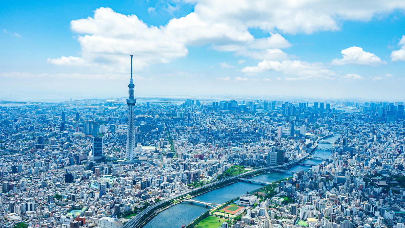 不動産高騰中の東京でも｢安く住む方法｣はある…交通の便が良くて暮らしやすい｢コスパ最強｣の下町3区 安く家を買いたいなら｢あと5年｣待つといい