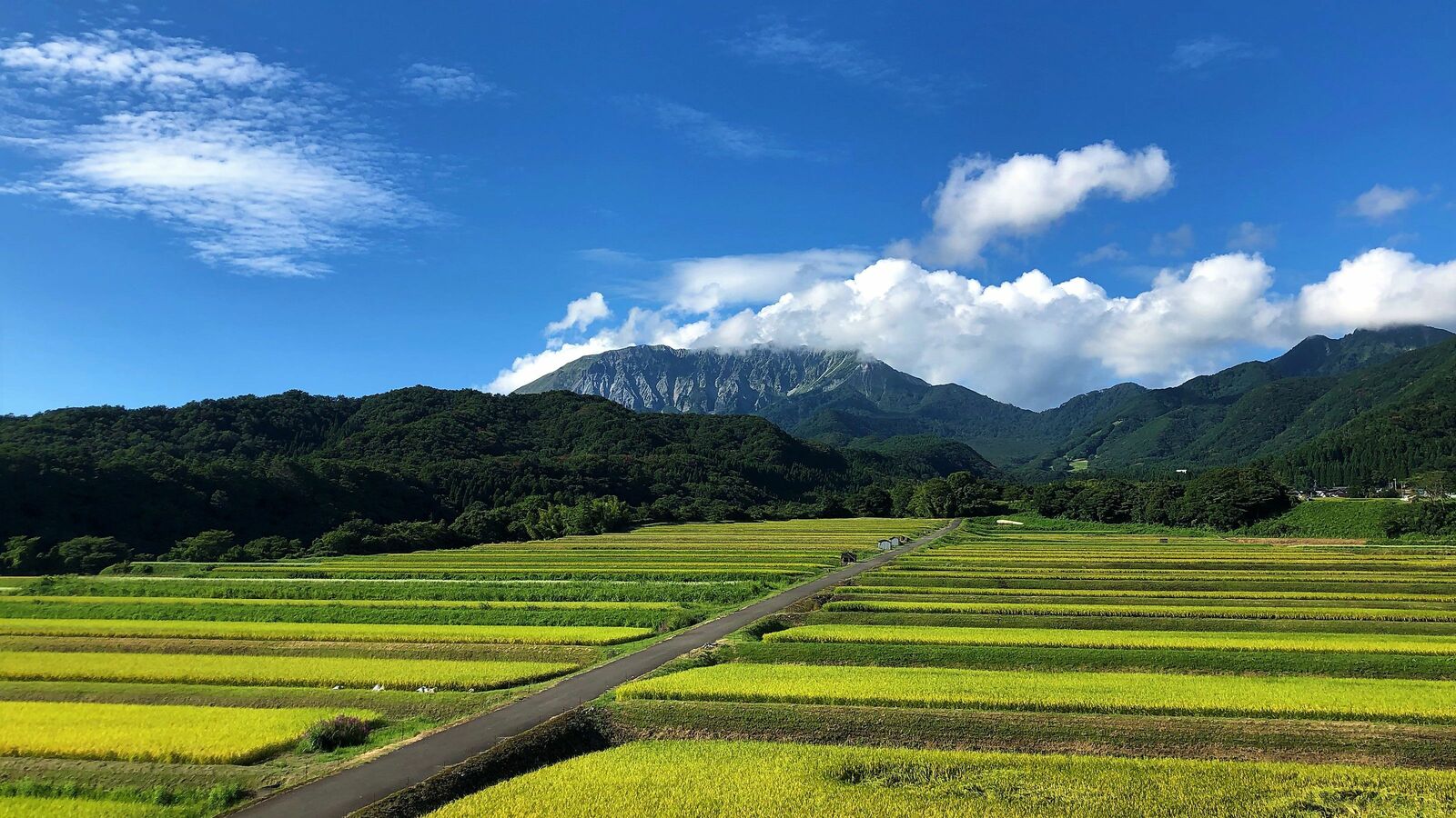 ふるさと納税をして｢自主増税｣の憂き目に…年末ぎりぎりでふるさと納税をする人はとくに注意したい手続き 2025年は9月までの完了が必須